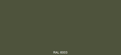 RAL 6003
