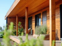 Ošetrenie dreva od A po Z: Ako ho chrániť pred vlhkosťou a červotočmi? 