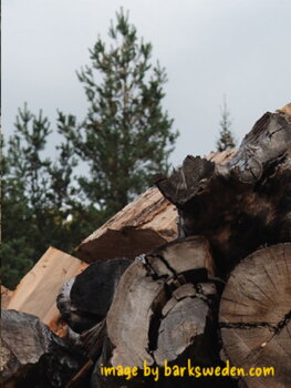 BARKSweden - na výrobu obalov používa odrezky a zvyšky z drevovýroby