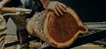 BARKSweden - drevo ako EKO voľba namiesto plastu